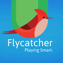 Flycatcher Toys Coupons and Promo Code
